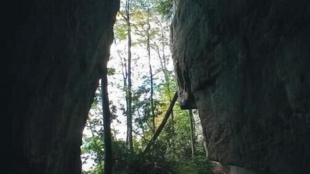 Photo of Outdoor in Canvas
