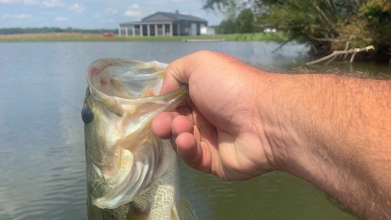 Photo of Others in Franklin