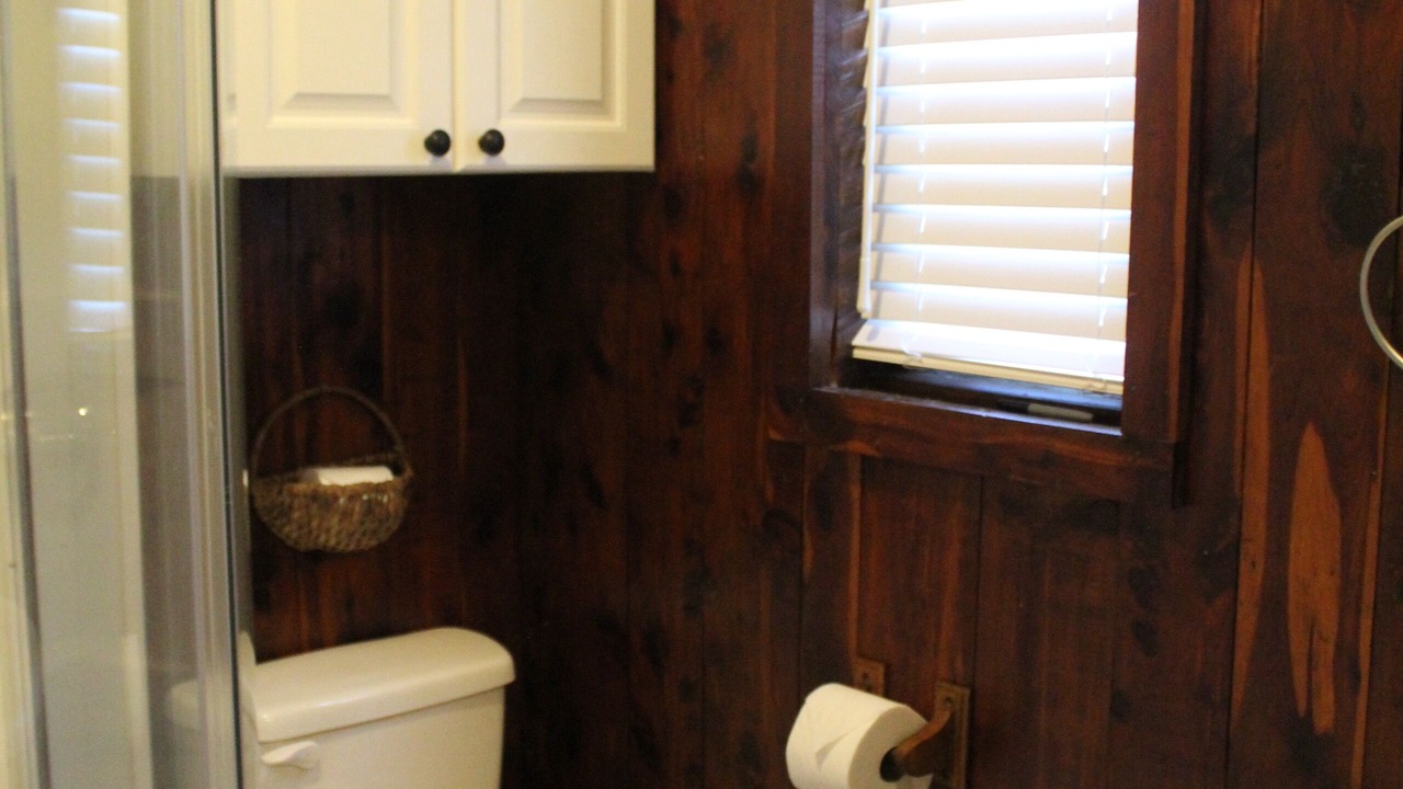 Photo of Bathroom in Dixon Springs