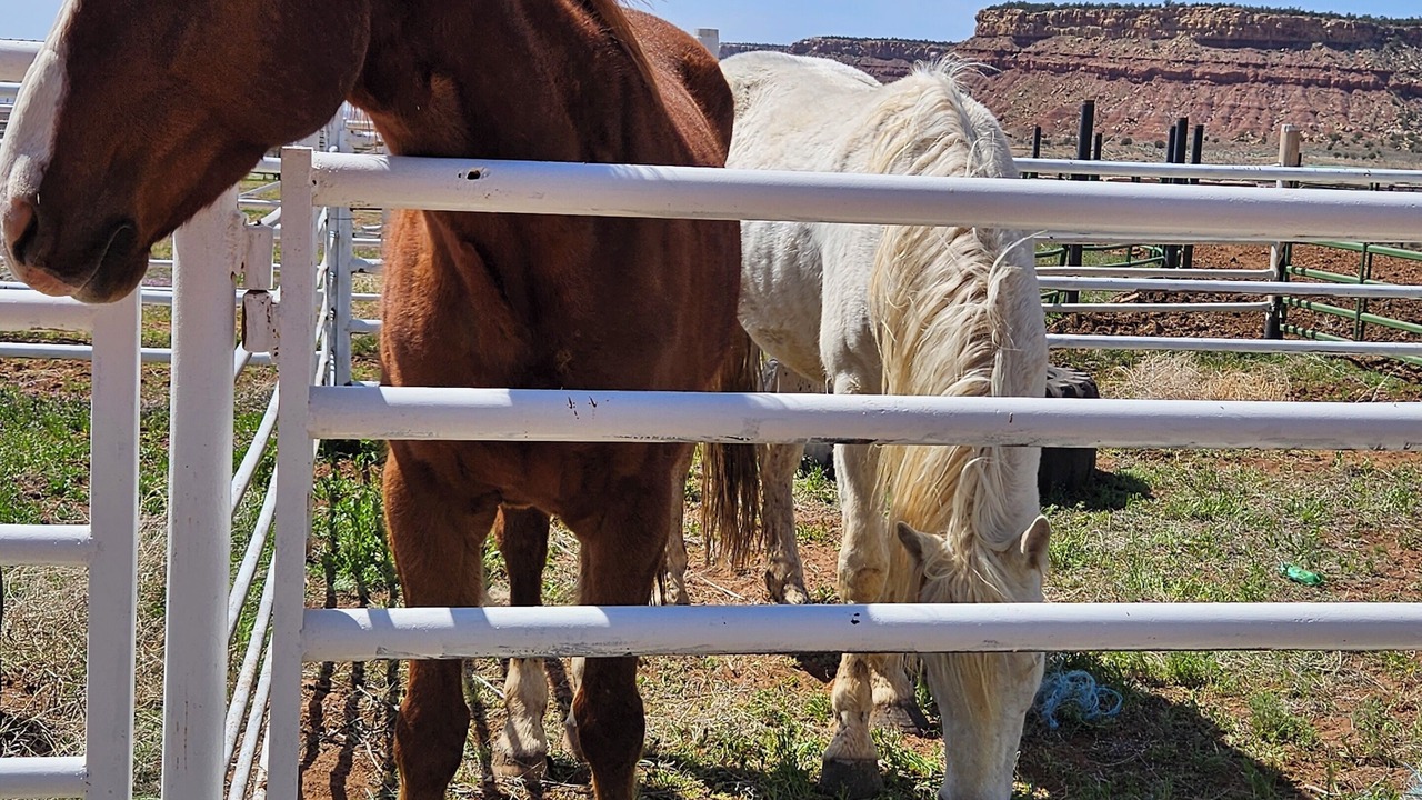 Photo of Outdoor in Apple Valley