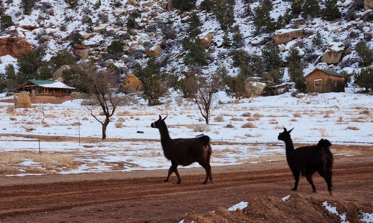 Photo of Outdoor in Apple Valley