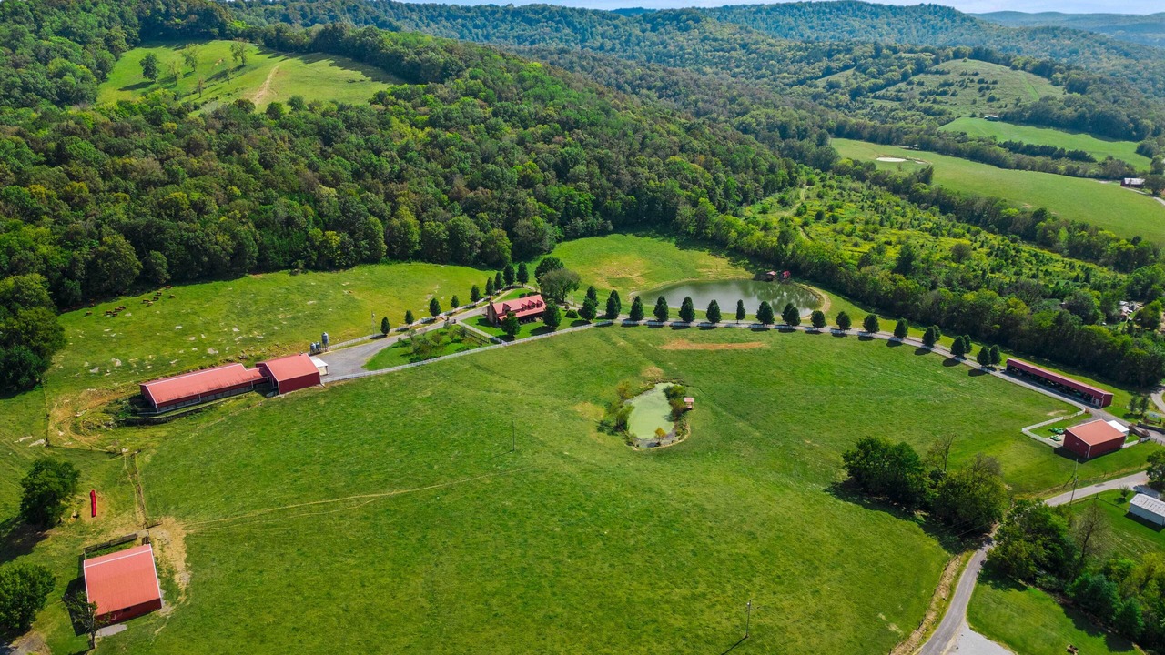 Photo of Outdoor in Chestnut Mound