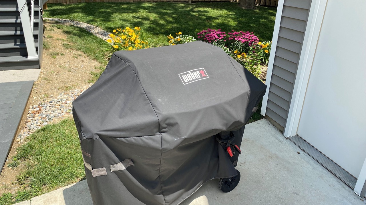 Photo of Outdoor in Ann Arbor