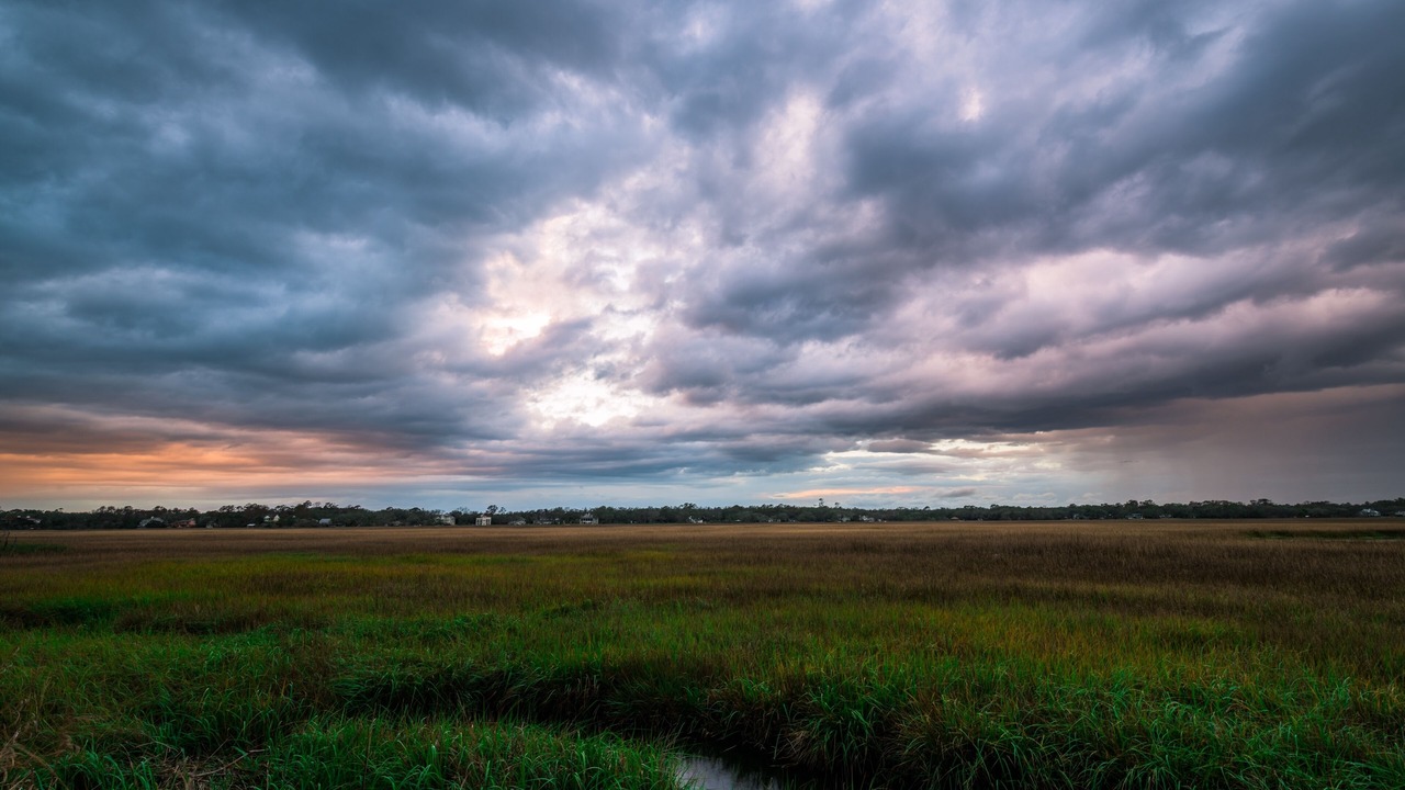 Photo of Others in St. Simons Island