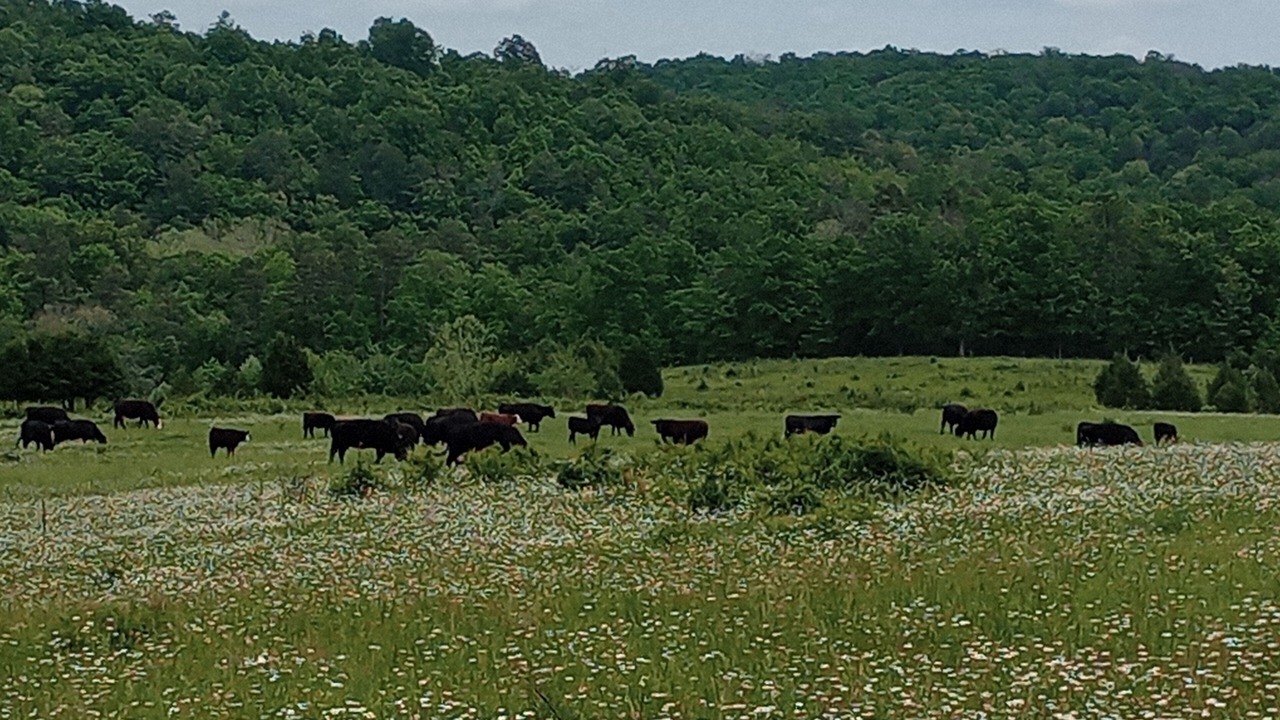 Photo of Outdoor in Montier