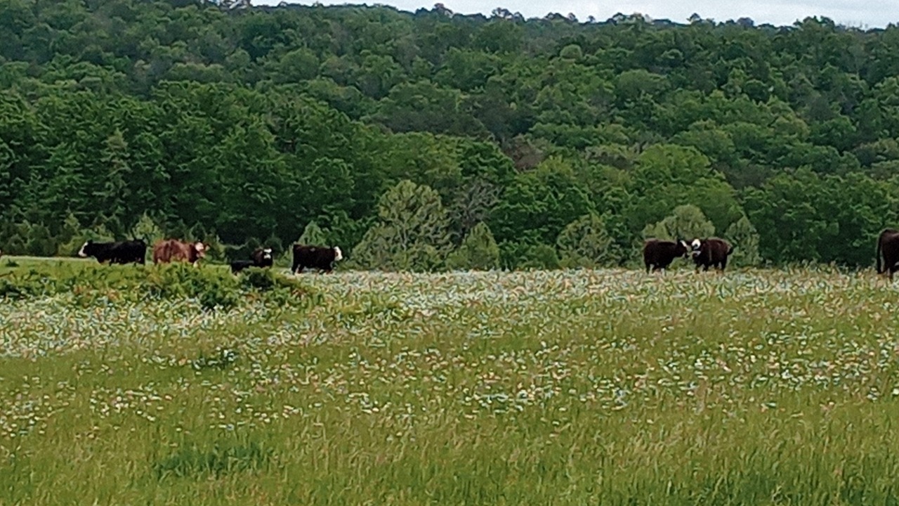 Photo of Outdoor in Montier