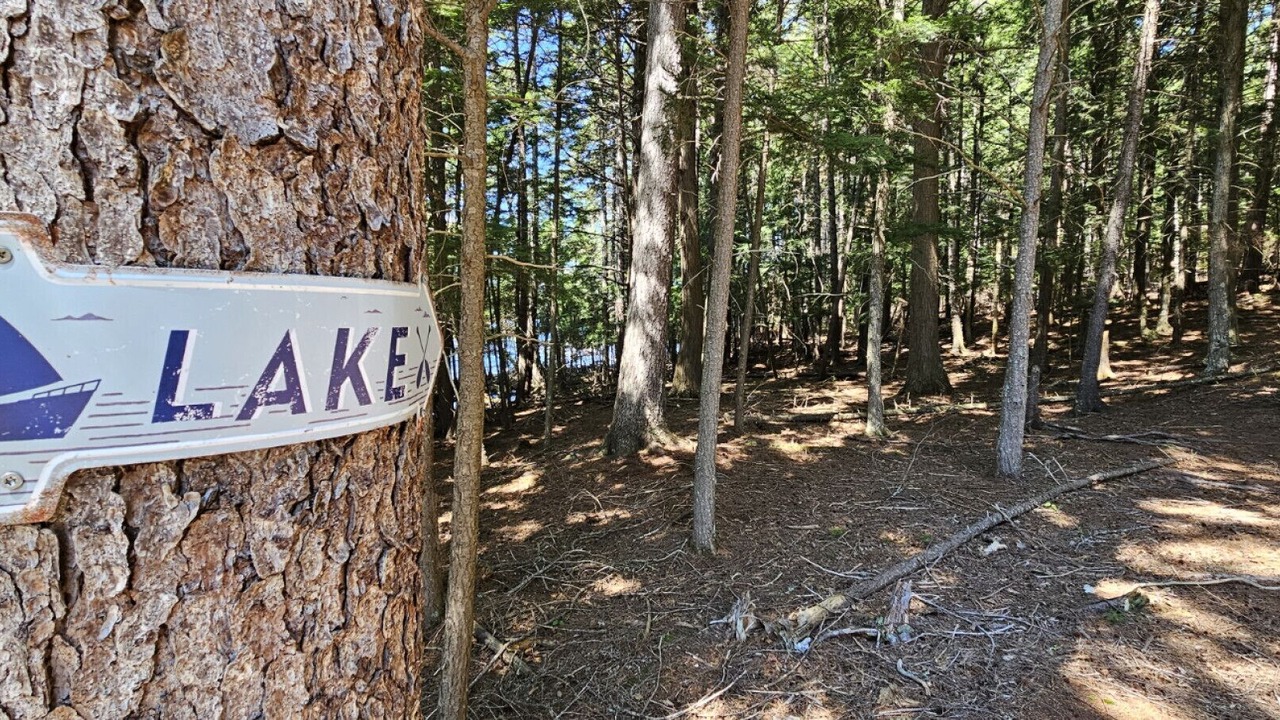 Photo of Others in Beaver Cove