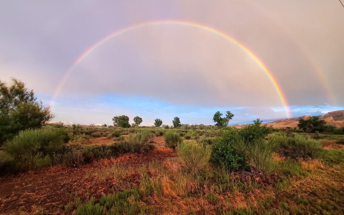 Photo of Others in Fruita
