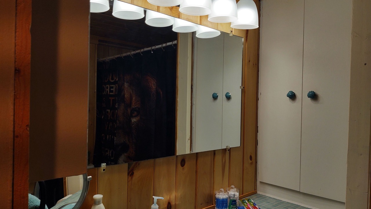 Photo of Bathroom in Coal Run