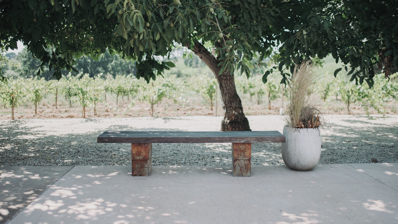 Photo of Outdoor in Shenandoah Valley