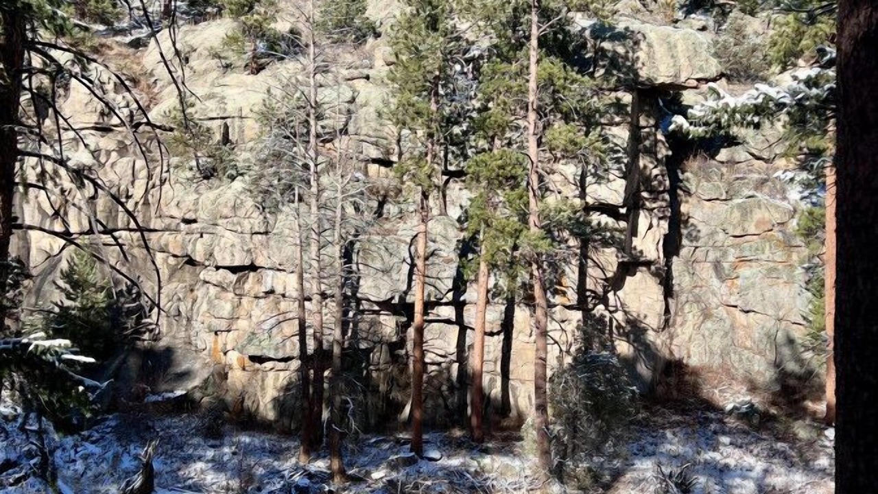 Photo of Outdoor in Drake