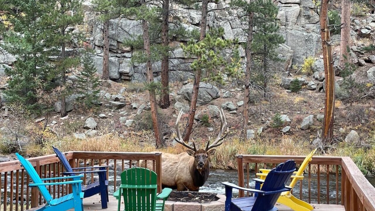 Photo of Outdoor in Drake