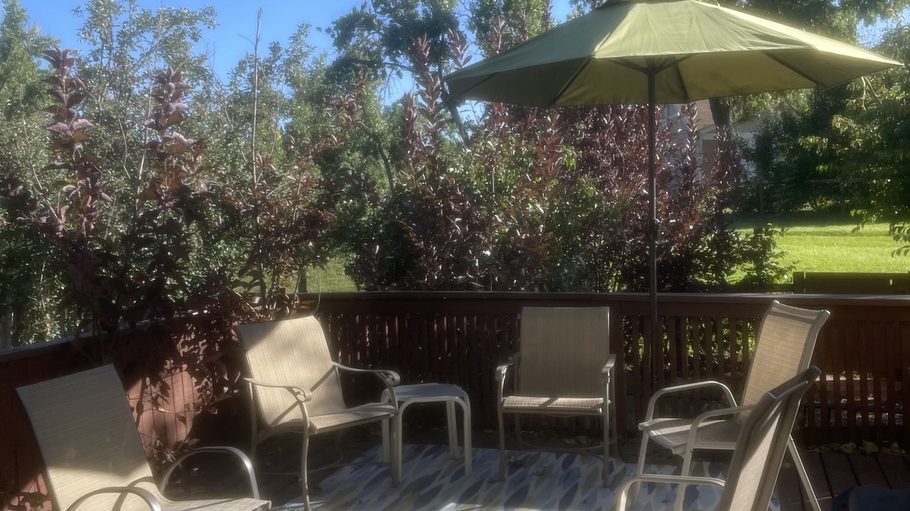 Photo of Patio Balcony in North Central Westminster