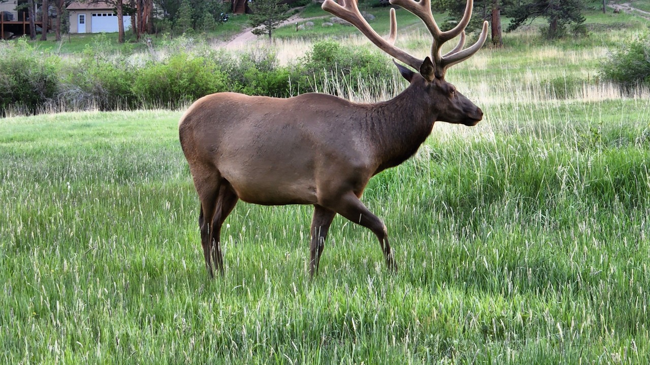 Photo of Outdoor in Lyons
