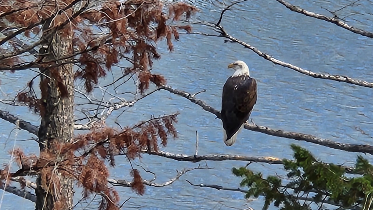 Photo of Others in Lyons