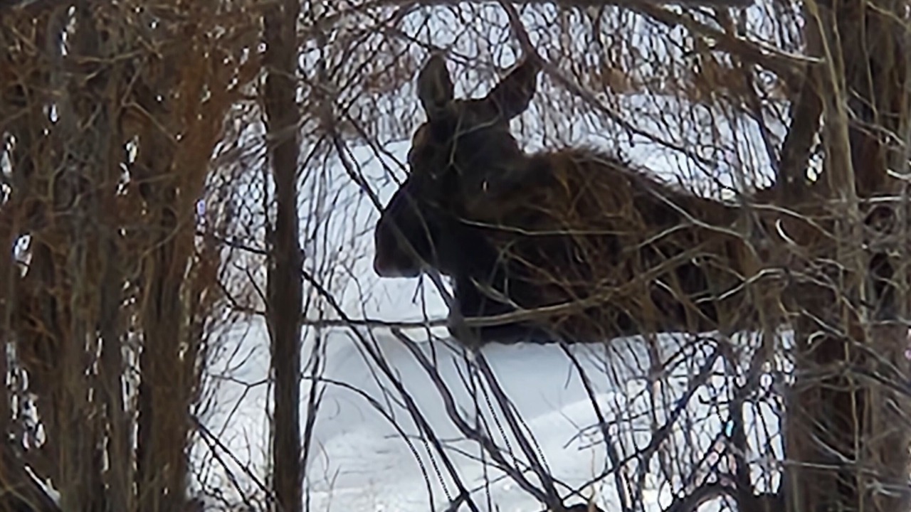Photo of Outdoor in Lyons