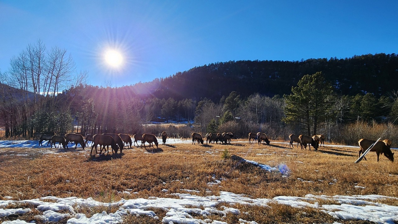 Photo of Outdoor in Lyons
