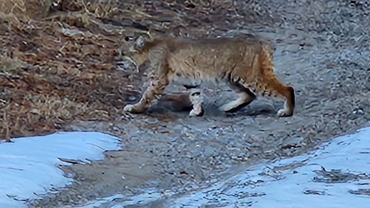 Photo of Outdoor in Lyons