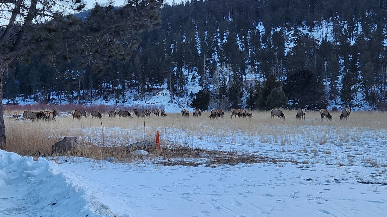 Photo of Others in Lyons