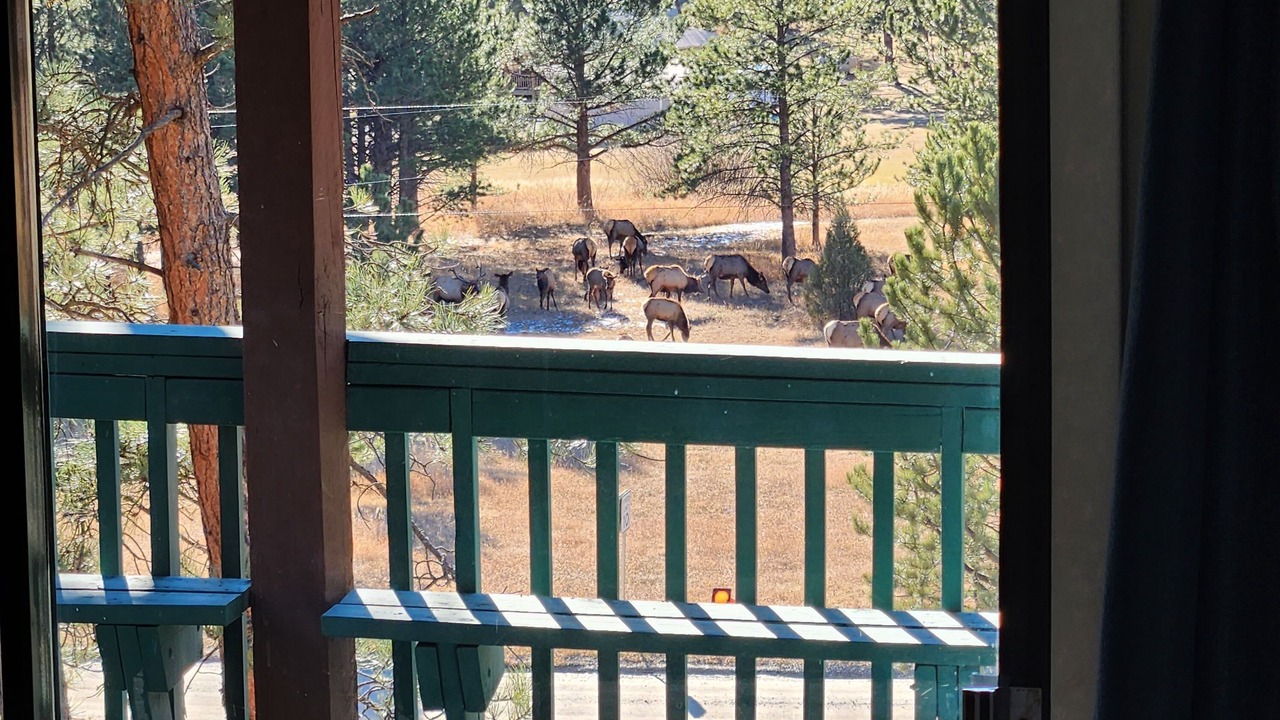 Photo of Others in Lyons
