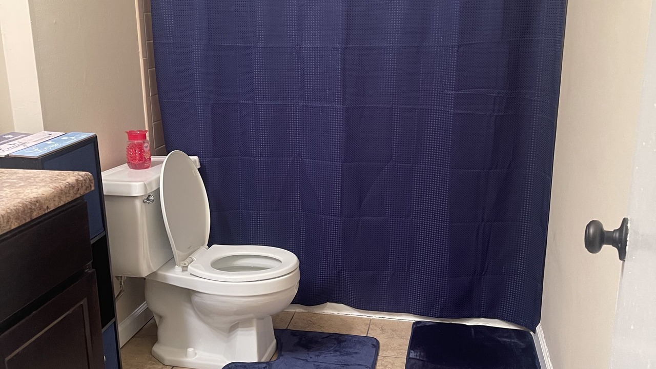 Photo of Bathroom in Glen Iris
