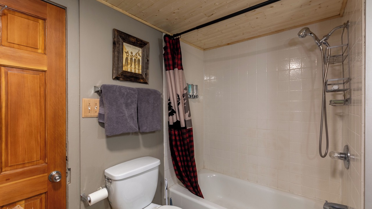 Photo of Bathroom in Idaho Springs