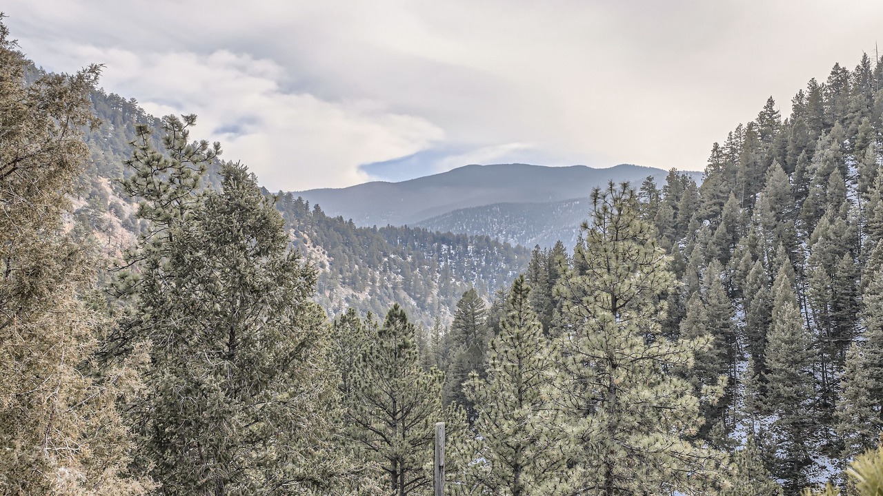 Photo of Others in Idaho Springs