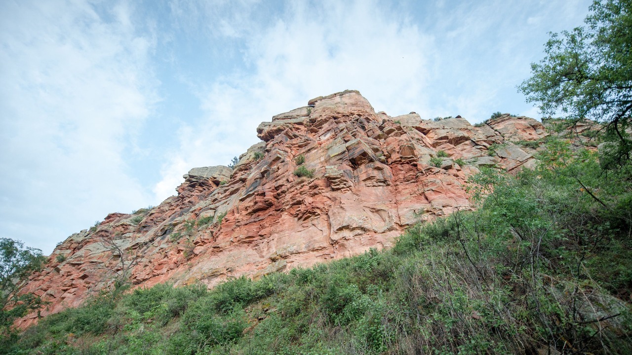 Photo of Others in Lyons