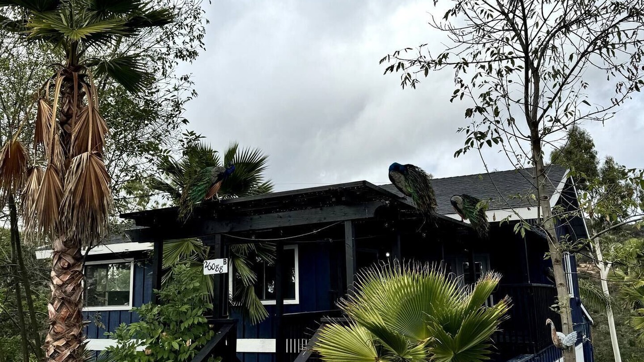 Photo of Outdoor in Valley Center