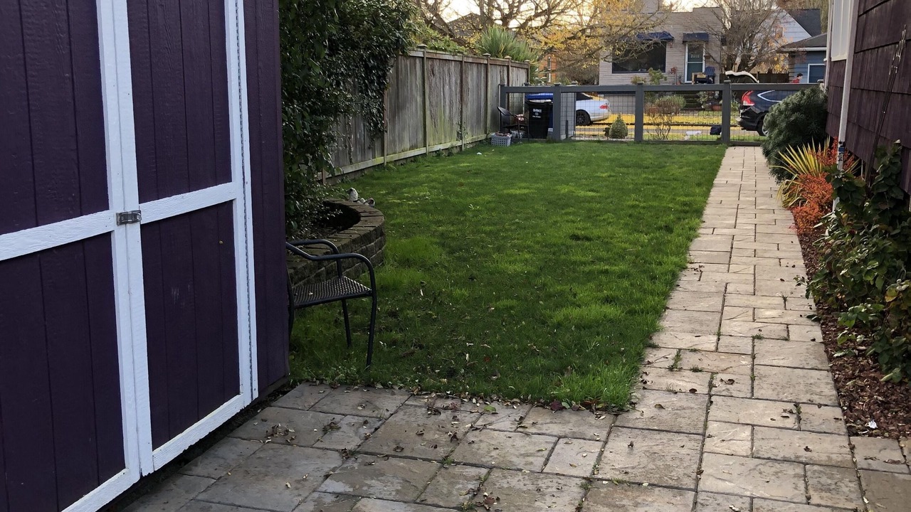 Photo of Outdoor in North Admiral