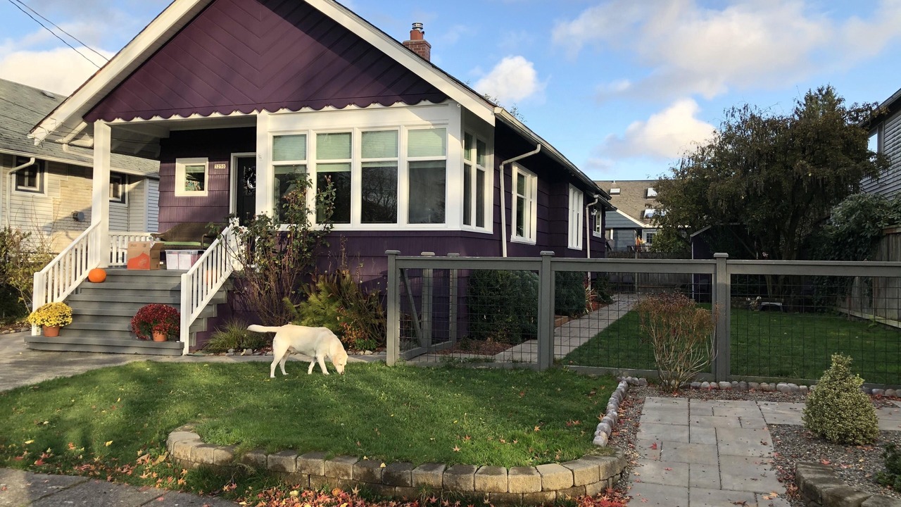 Photo of Outdoor in North Admiral