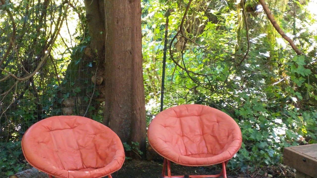 Photo of Outdoor in Bainbridge Island