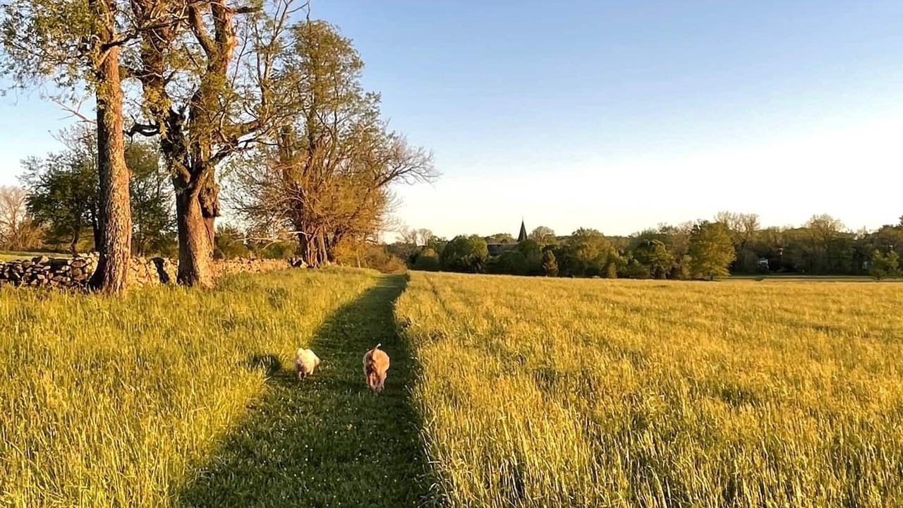Photo of Outdoor in Upperville