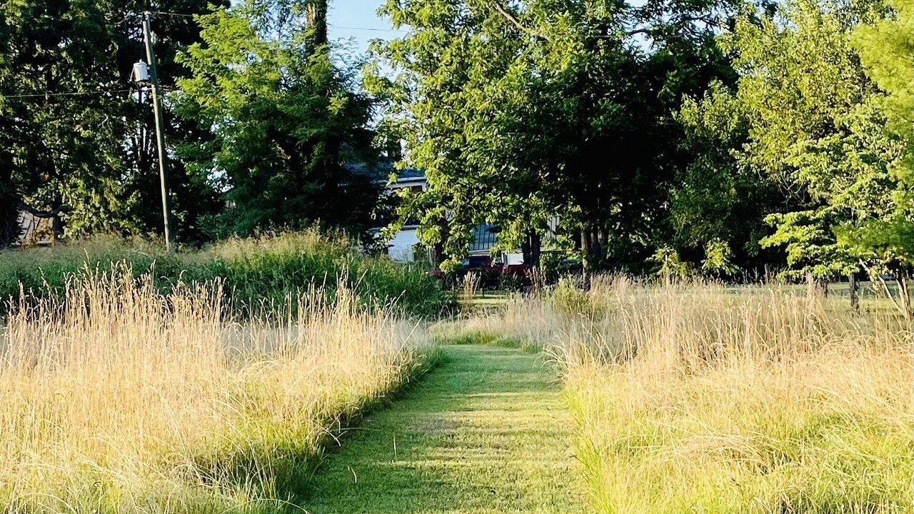 Photo of Others in Upperville