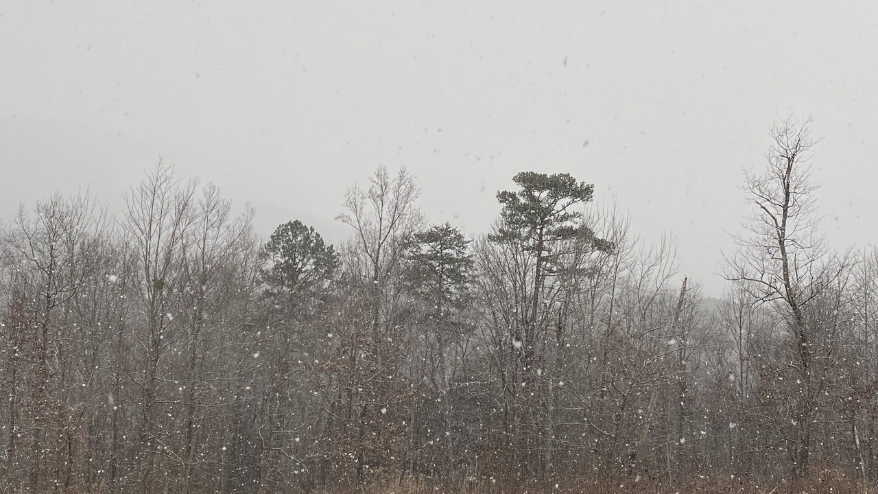 Photo of Outdoor in Newport