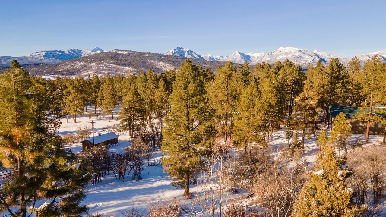 Photo of Others in Pagosa Springs