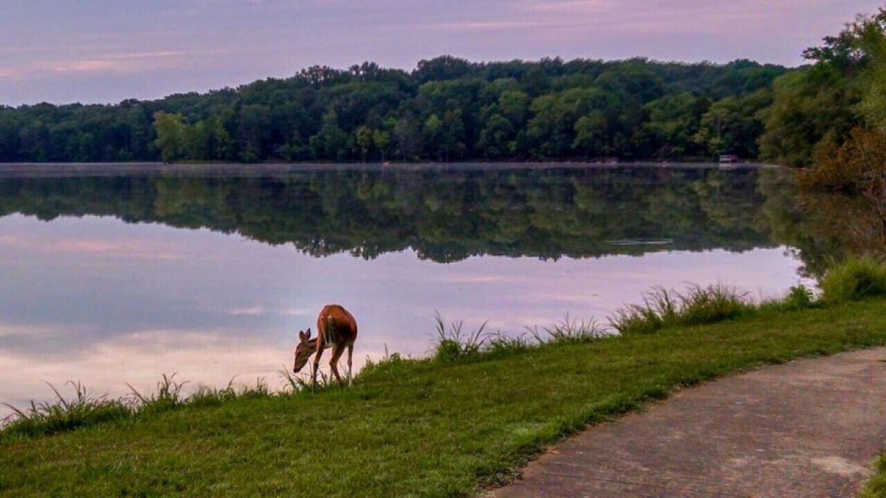 Photo of Others in Mount Juliet
