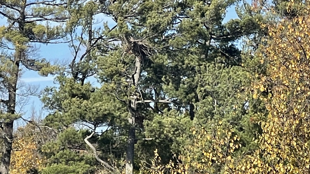 Photo of Others in Birchwood
