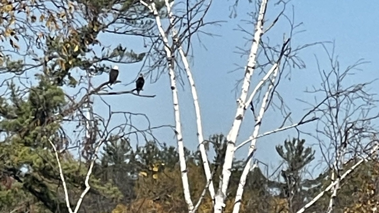 Photo of Others in Birchwood