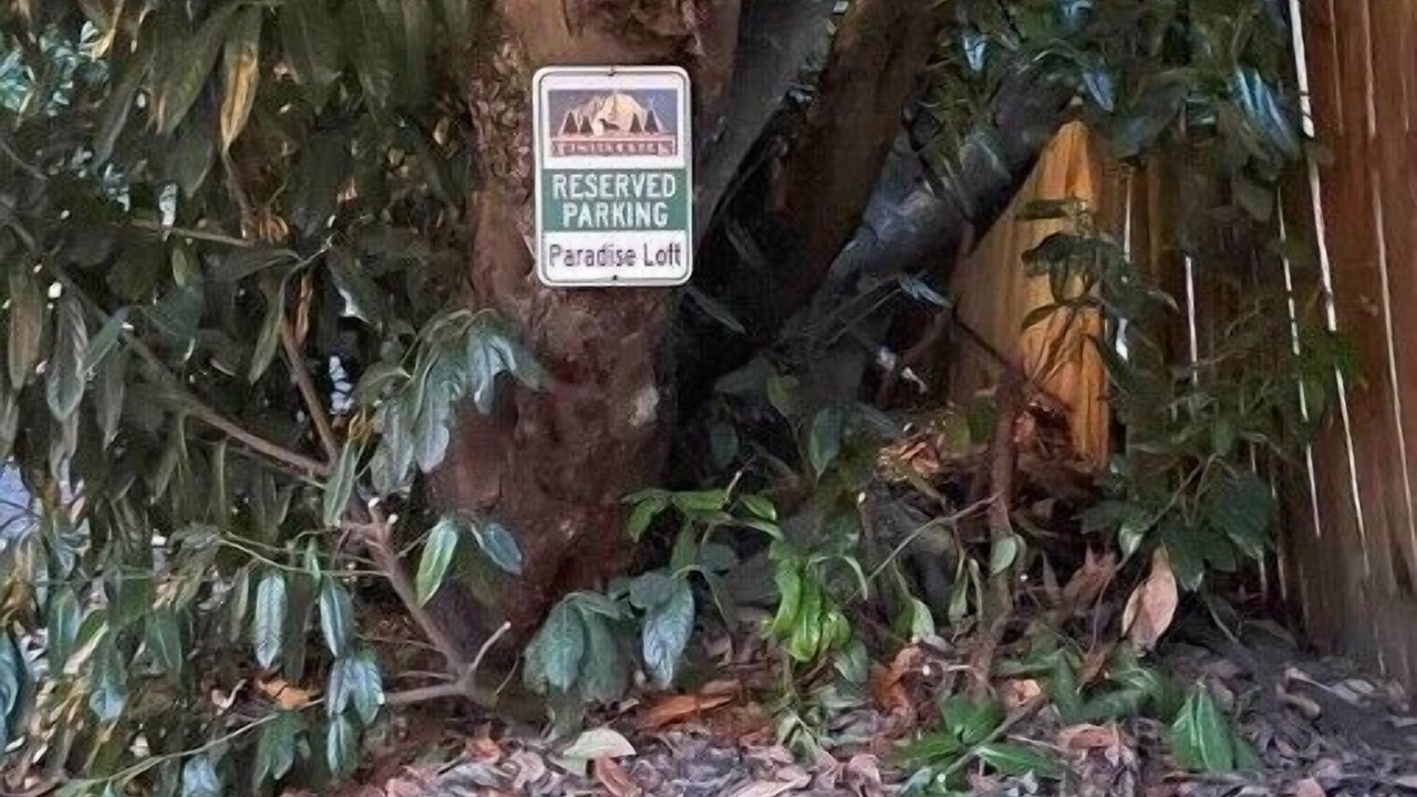 Photo of Outdoor in East Lake Hills