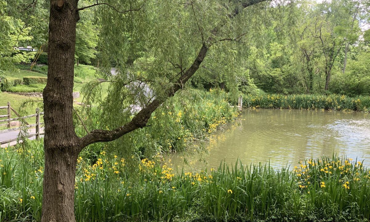 Photo of Outdoor in Anderson Township