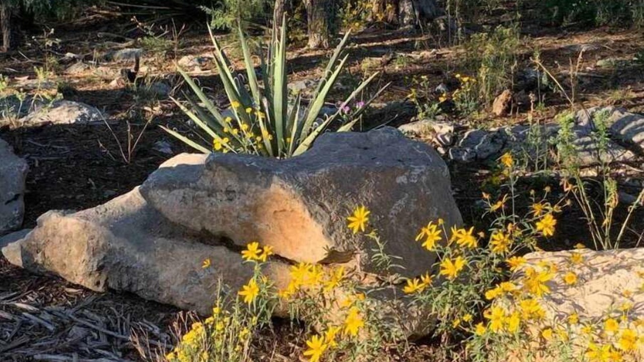 Photo of Outdoor in Tijeras
