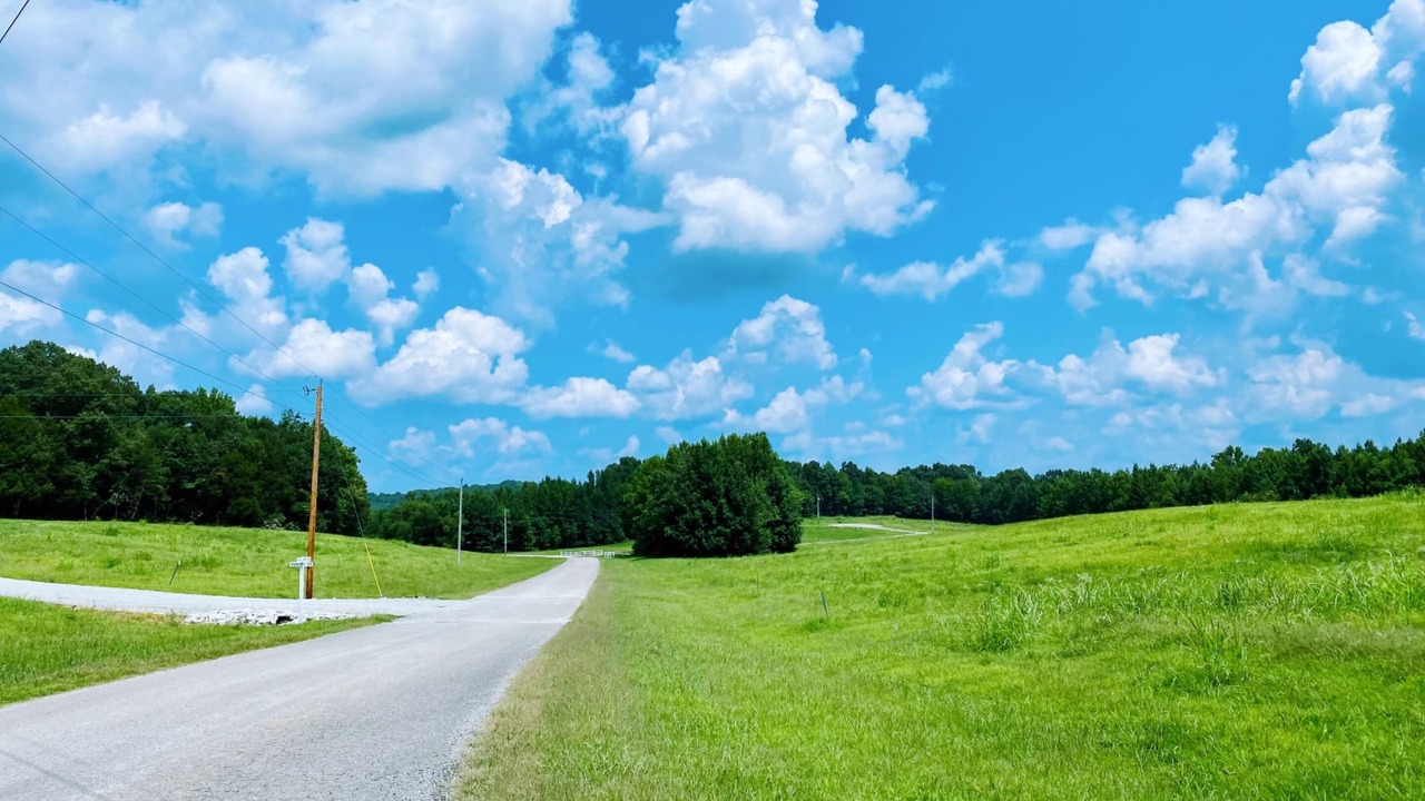 Photo of Outdoor in Flatwoods