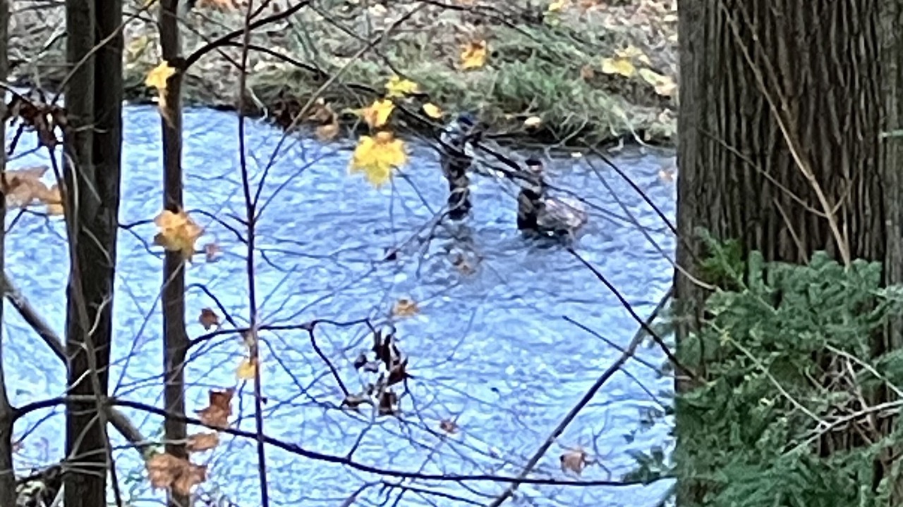 Photo of Others in Conneaut