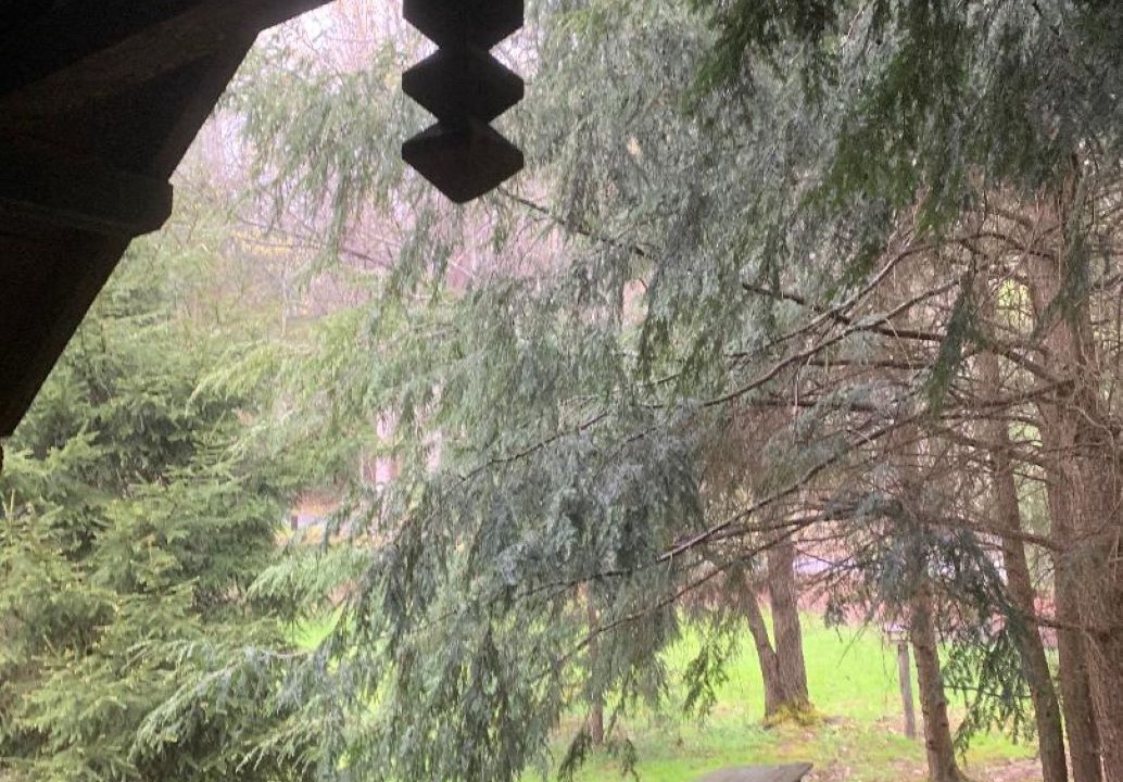 Photo of Outdoor in Lansing
