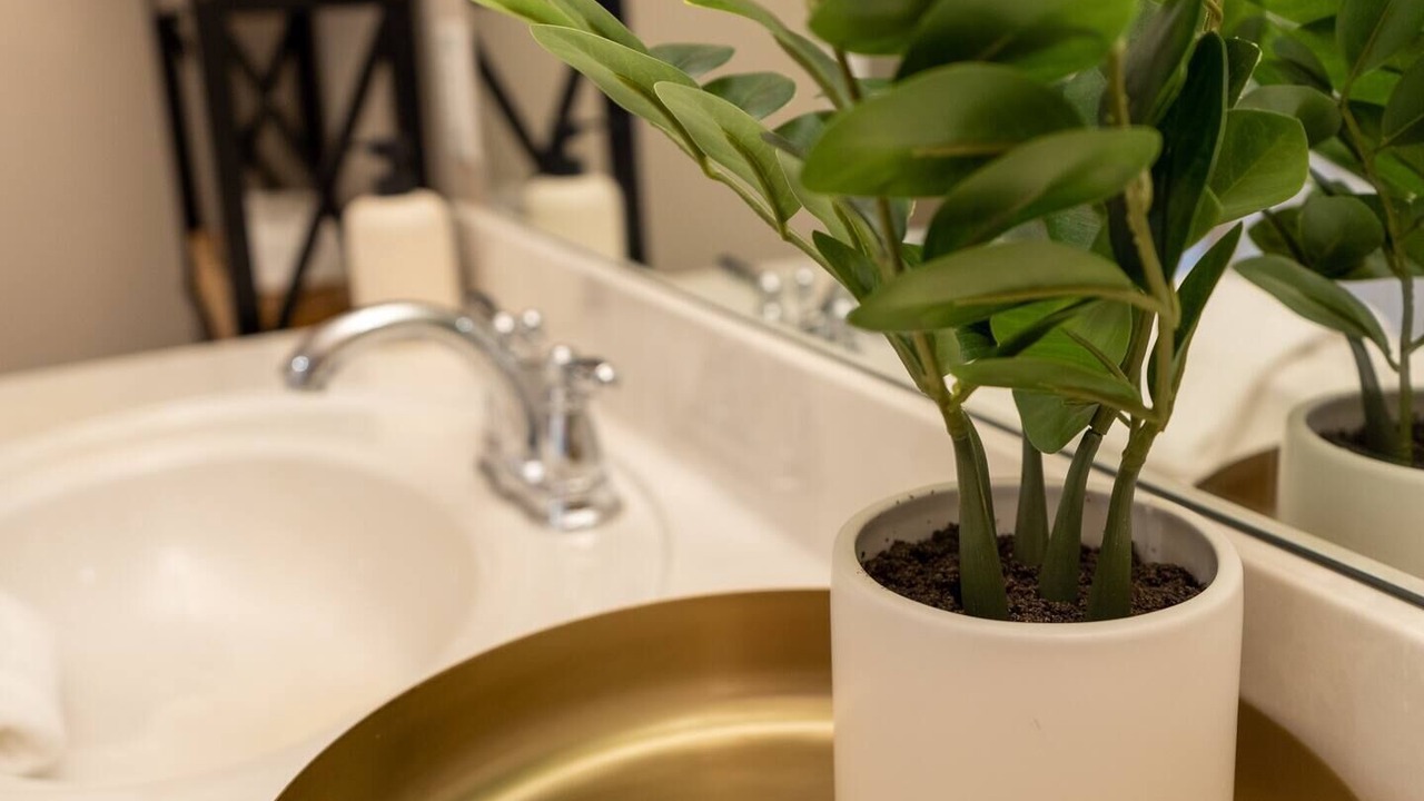 Photo of Bathroom in Hermitage