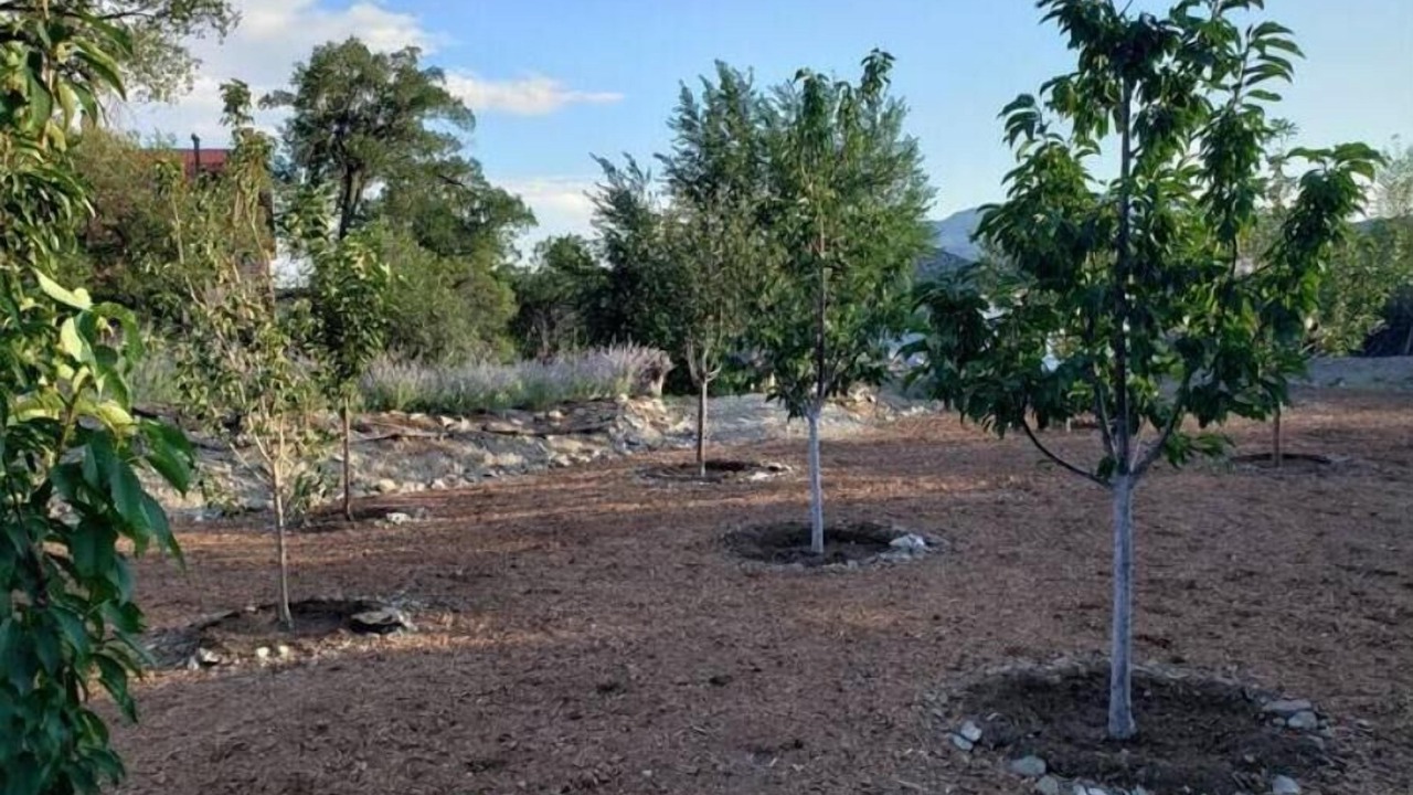 Photo of Others in Cerrillos