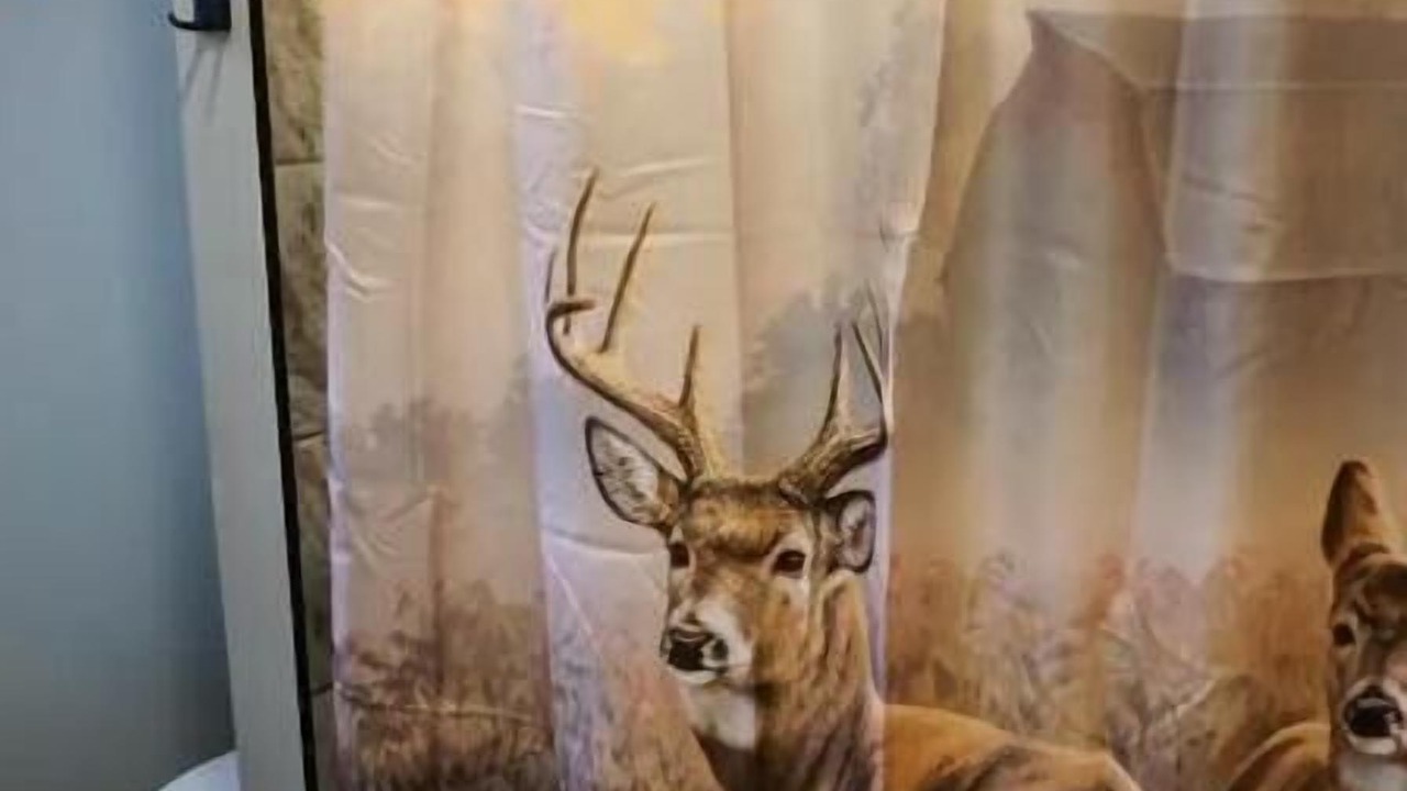 Photo of Bathroom in Johnsburg