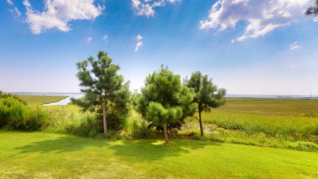 Photo of Outdoor in Assateague Pointe