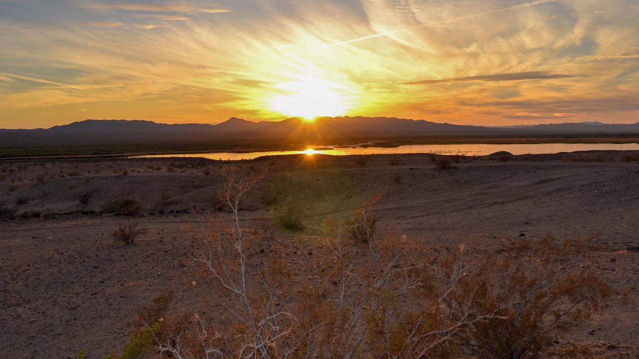 Photo of Others in Mohave Valley